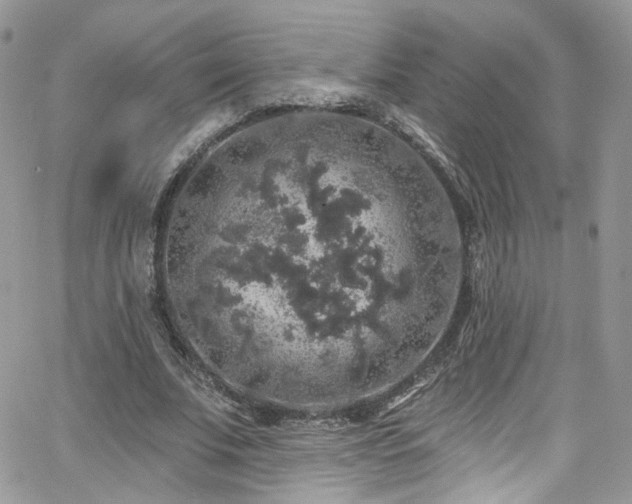 X0000062140679200512091216