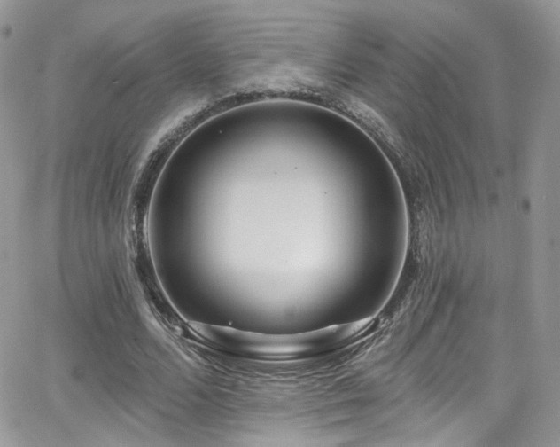 X0000062140680200512091216