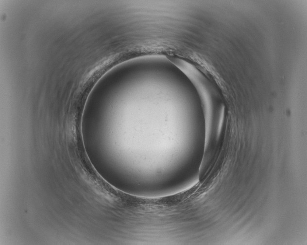 X0000062140681200512091216