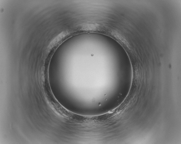 X0000062140682200512091216