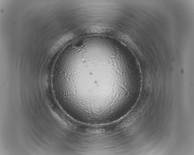 X0000062140683200512091216