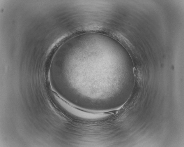 X0000062140684200512091215