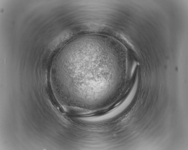 X0000062140685200512091215