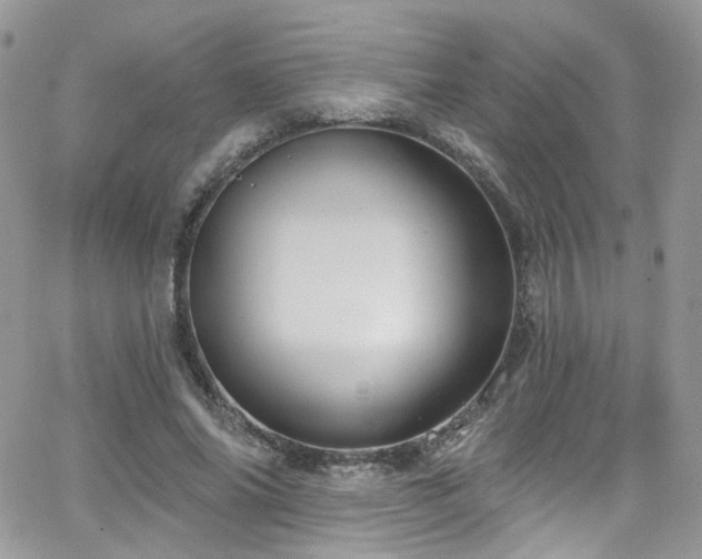 X0000062140686200512091215