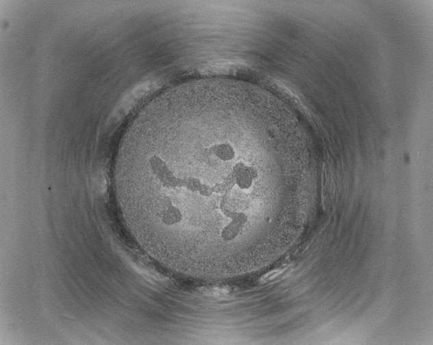 X0000062140687200512091215