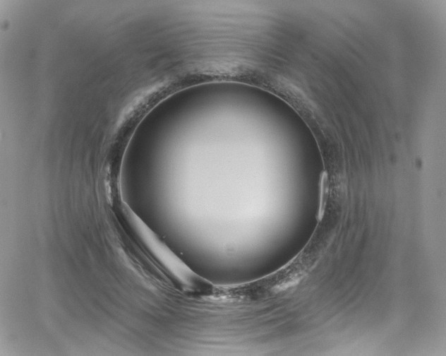 X0000062140688200512091215