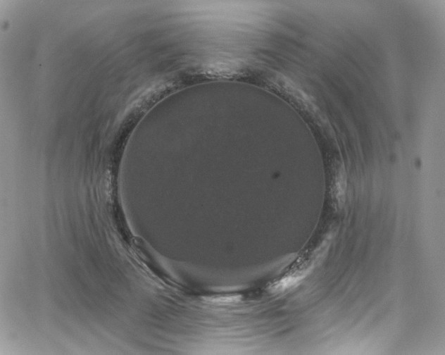 X0000062140689200512091215