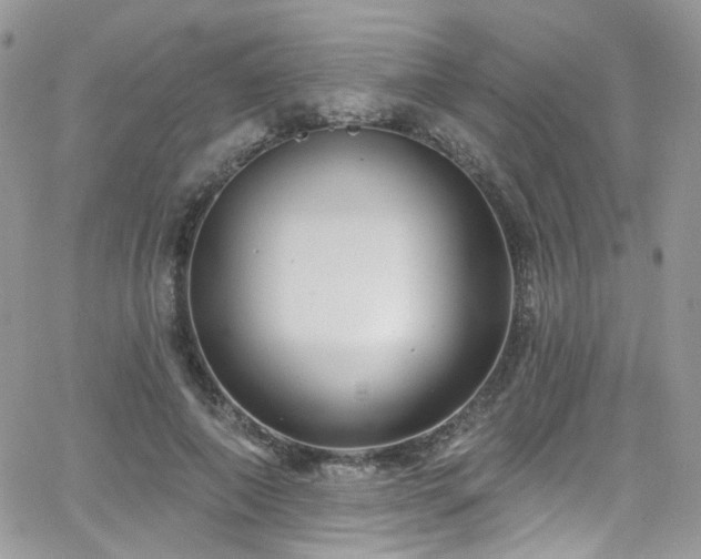 X0000062140690200512091215