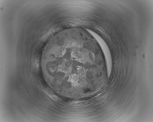 X0000062140691200512091215