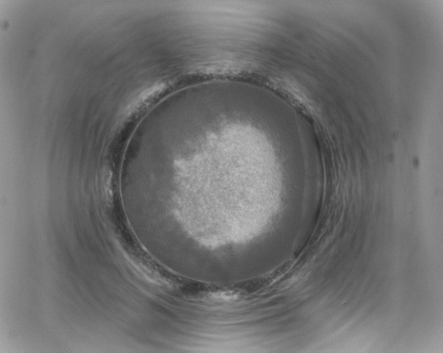 X0000062140692200512091215