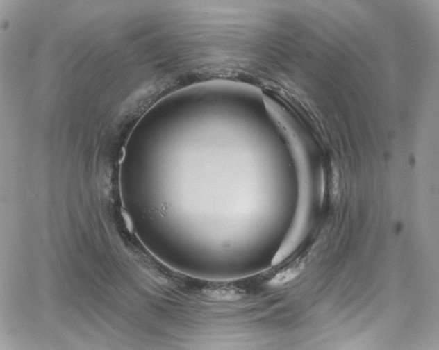 X0000062140693200512091215