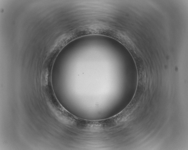 X0000062140694200512091215