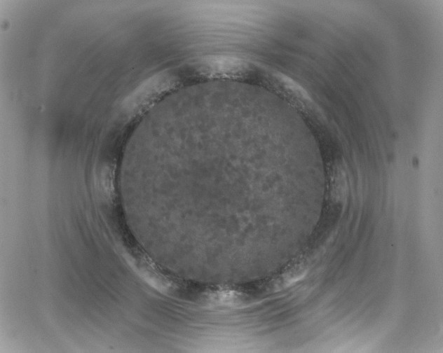 X0000062140695200512091215