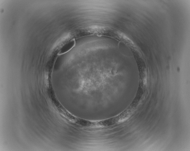 X0000062140696200512091215