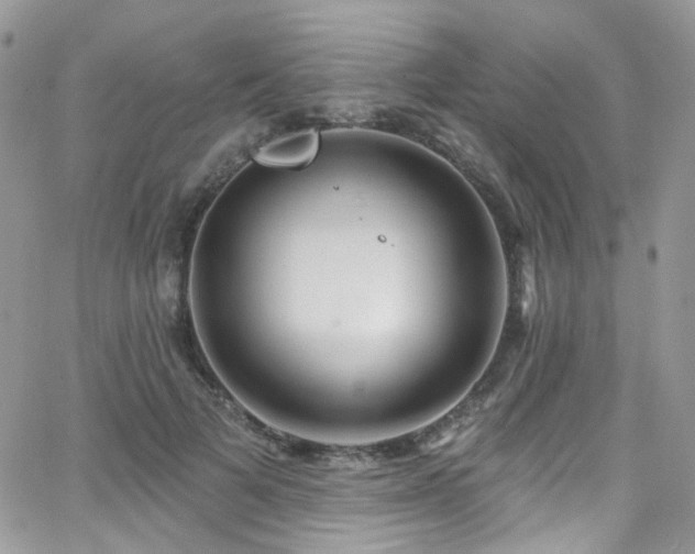 X0000062140697200512091215