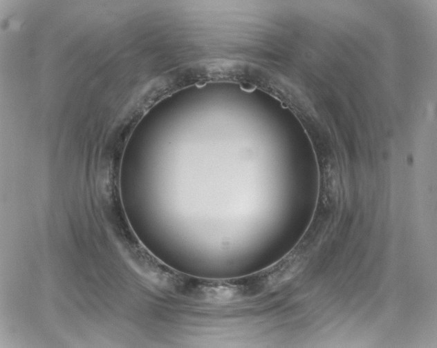 X0000062140698200512091215