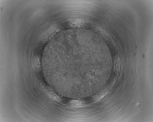 X0000062140699200512091215