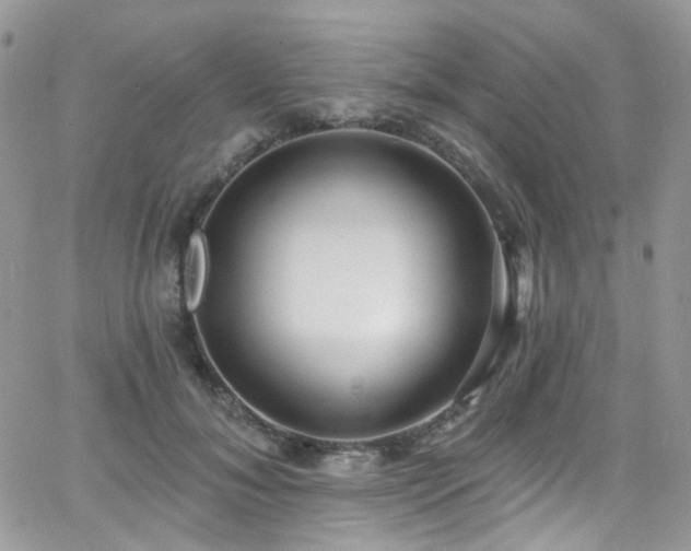 X0000062140700200512091215