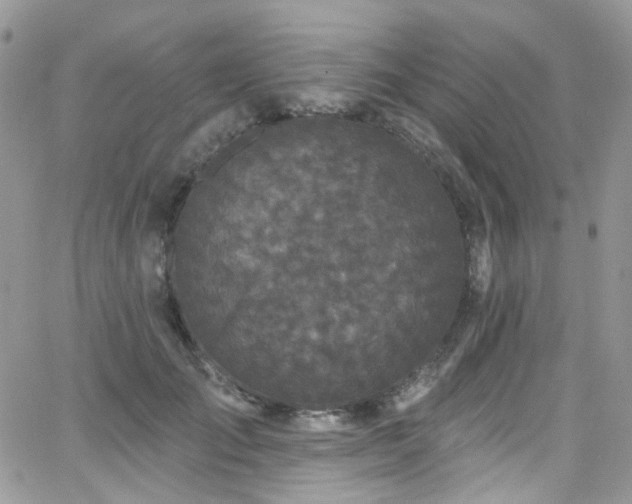 X0000062140701200512091215