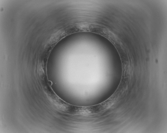 X0000062140702200512091215