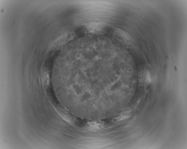 X0000062140703200512091215