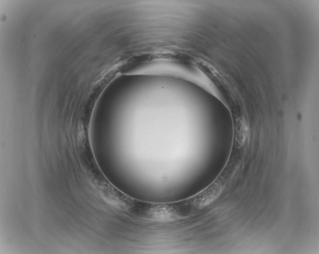 X0000062140704200512091215