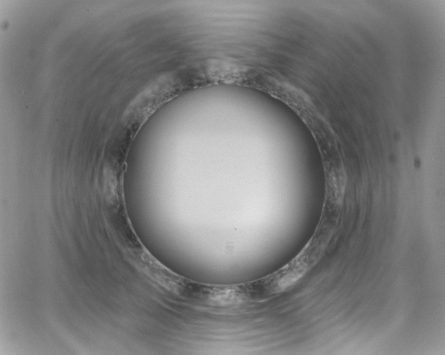 X0000062140705200512091215