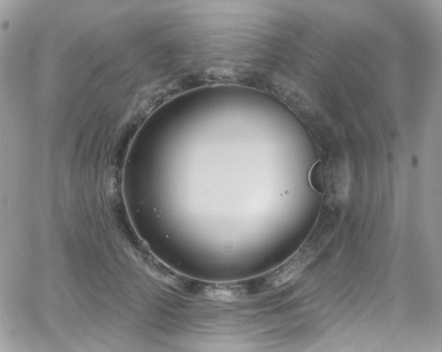 X0000062140706200512091215