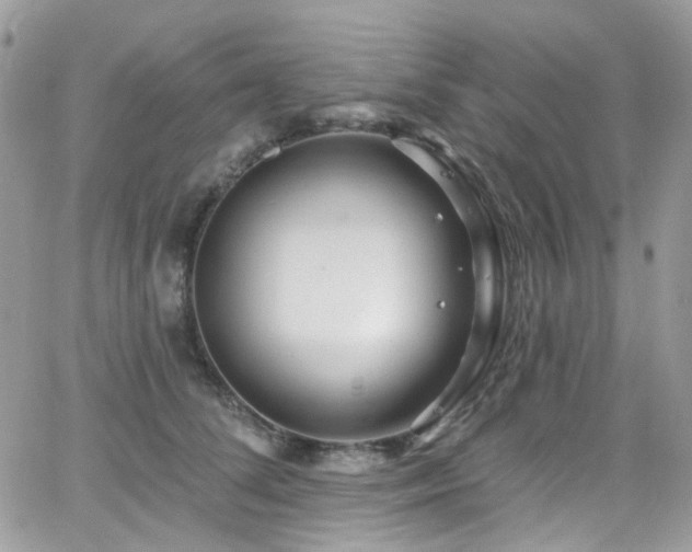 X0000062140708200512091215