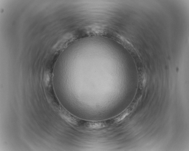 X0000062140709200512091215