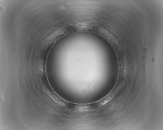 X0000062140710200512091215