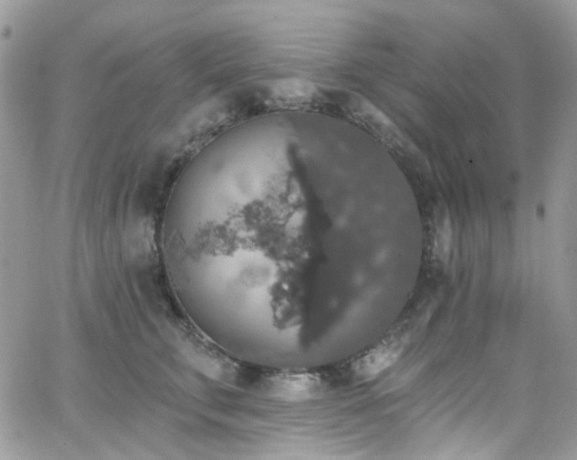 X0000062140711200512091215