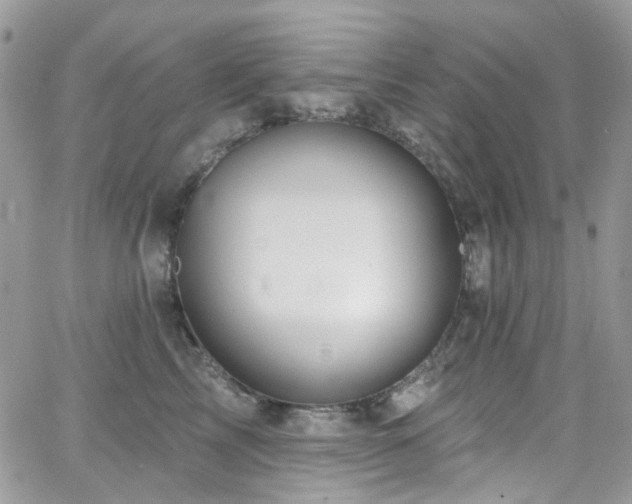 X0000062140713200512091215