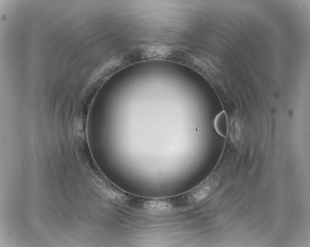 X0000062140714200512091215