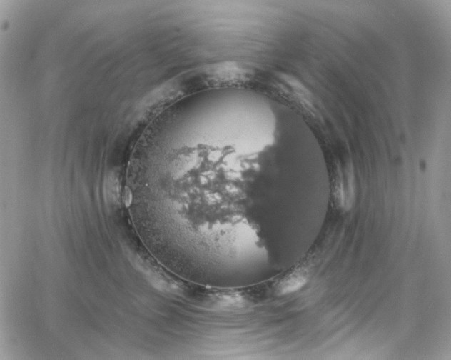 X0000062140715200512091215