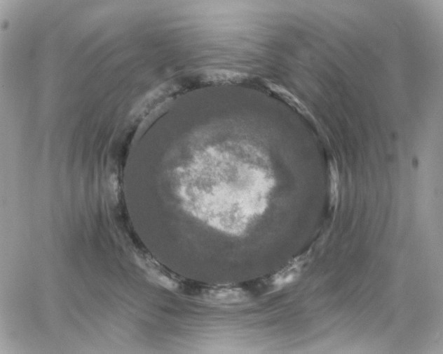 X0000062140716200512091215