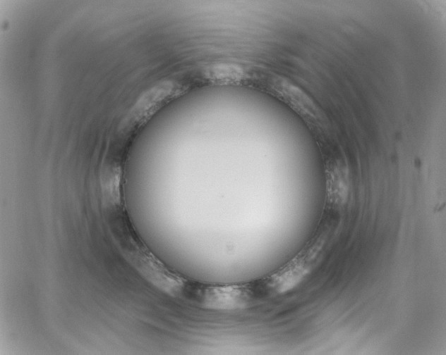 X0000062140717200512091215