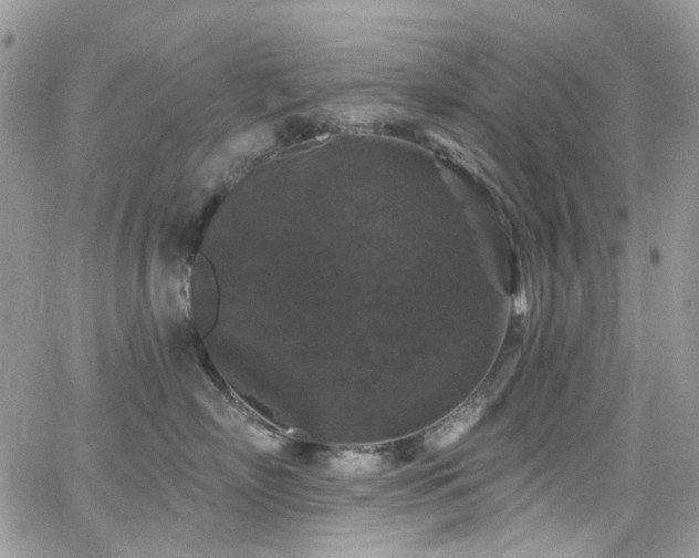 X0000062140718200512091215