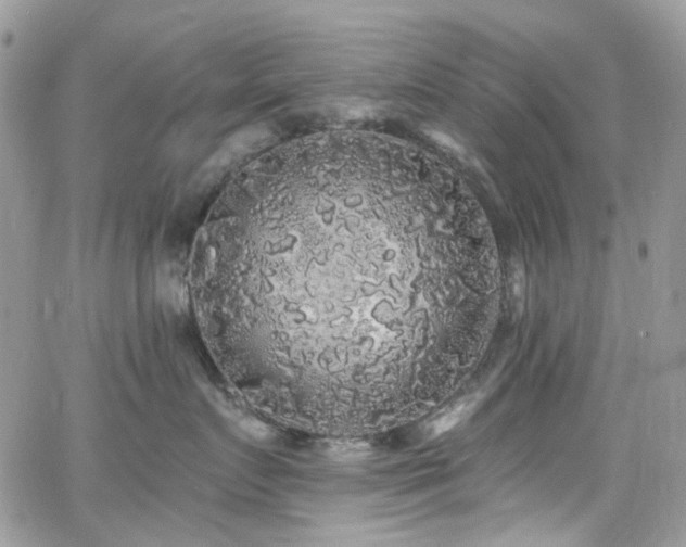 X0000062140719200512091215