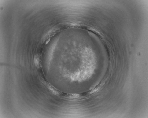 X0000062140720200512091215