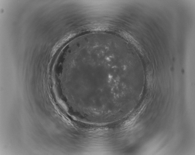 X0000062140721200512091214