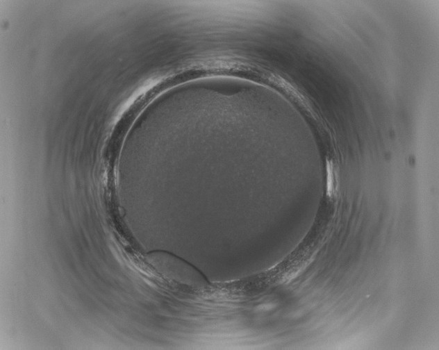 X0000062140723200512091214