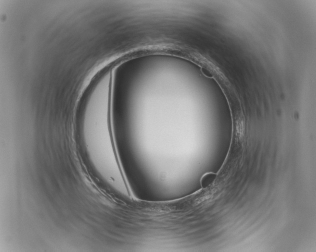 X0000062140724200512091214