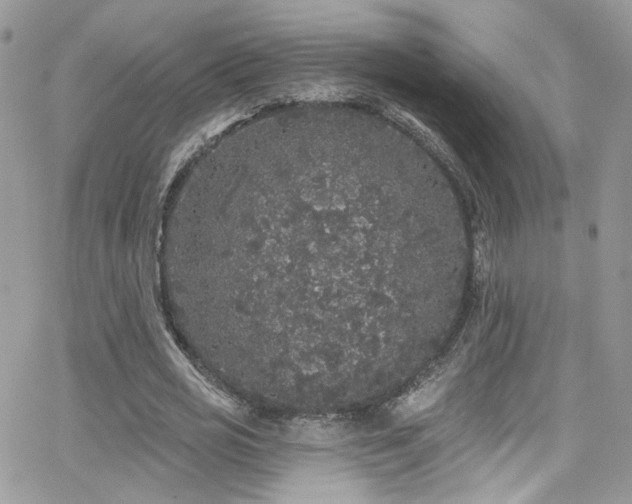 X0000062140725200512091214