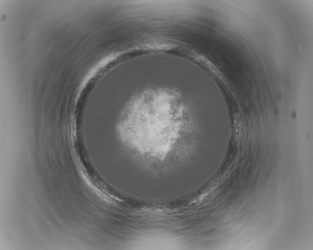 X0000062140726200512091214