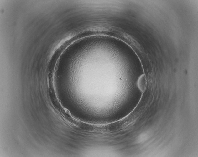 X0000062140727200512091214