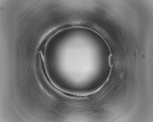 X0000062140728200512091214