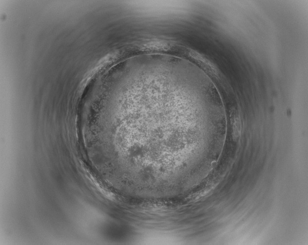 X0000062140729200512091214