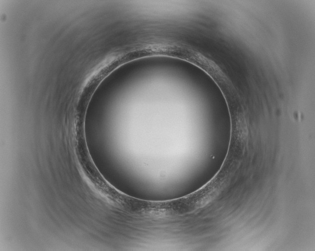 X0000062140730200512091214