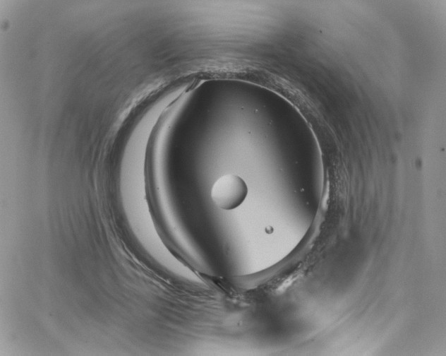 X0000062140731200512091214